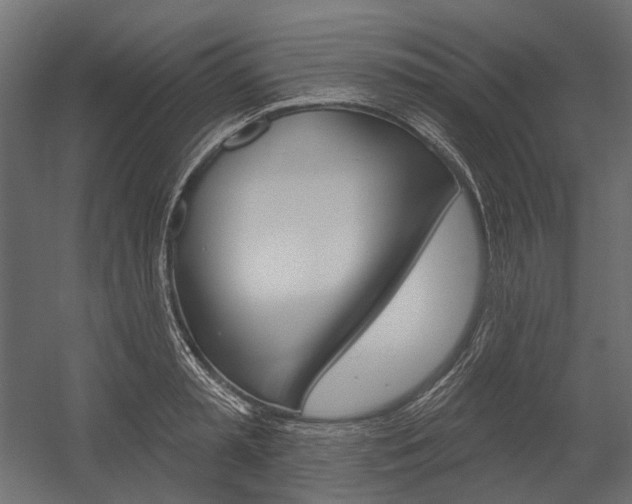 X0000054420797200507290924