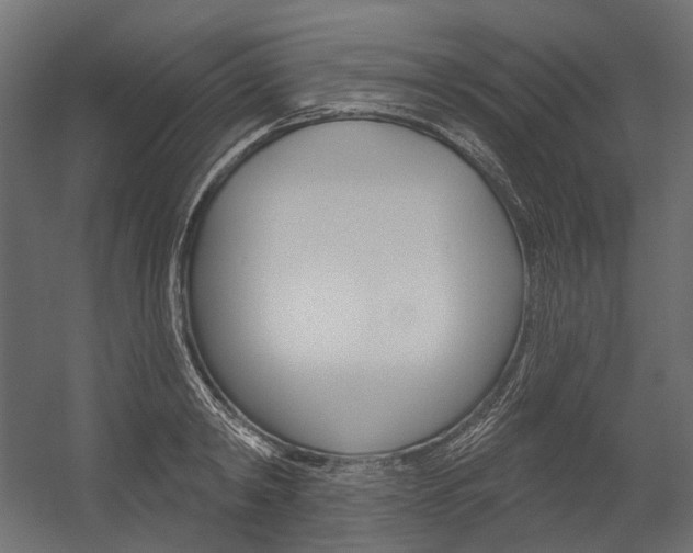X0000054420798200507290924