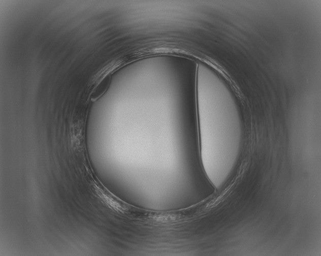 X0000054420801200507290924