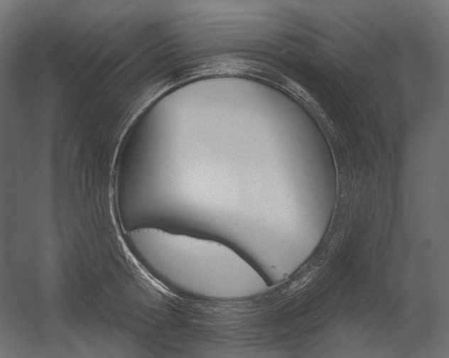 X0000054420802200507290924