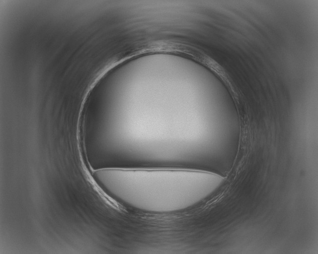 X0000054420803200507290924