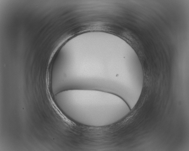 X0000054420804200507290924