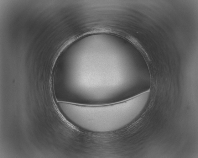 X0000054420805200507290924