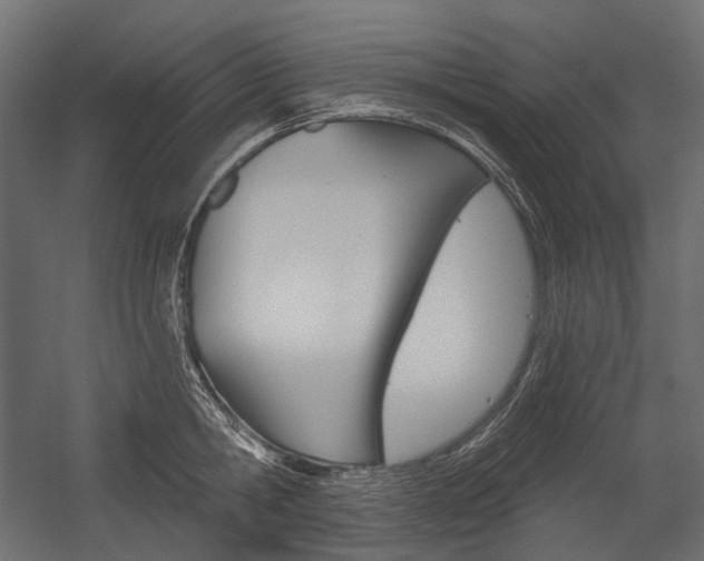 X0000054420806200507290924