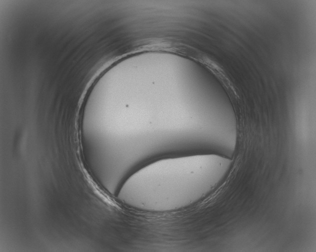 X0000054420808200507290924