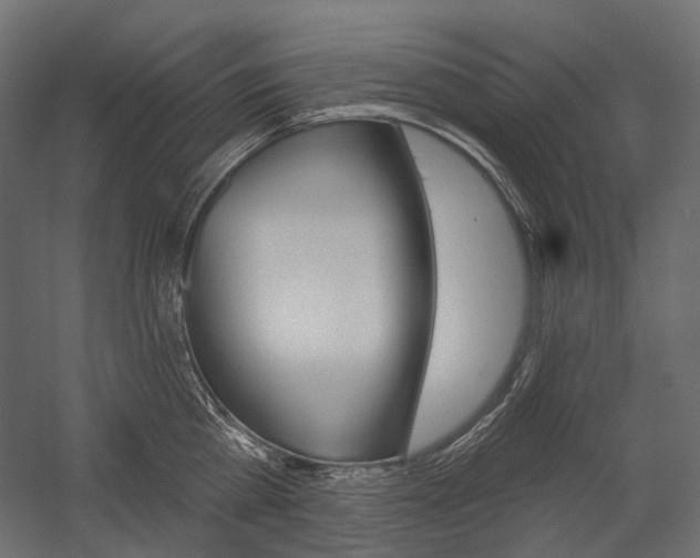 X0000054420809200507290924