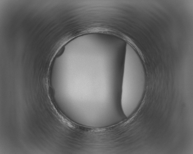 X0000054420810200507290924
