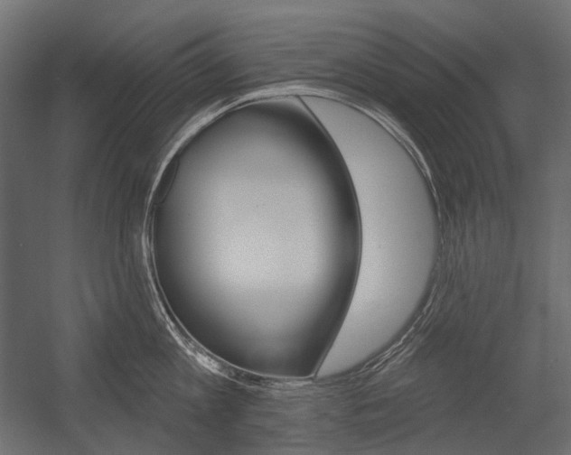 X0000054420813200507290924