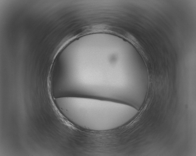 X0000054420814200507290924