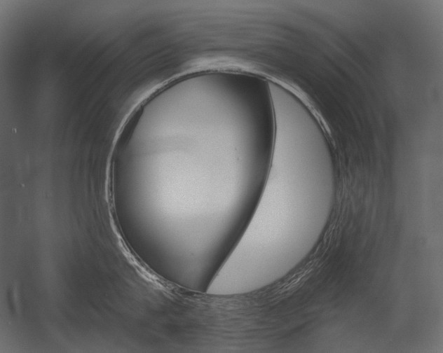 X0000054420815200507290924