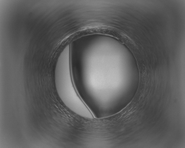 X0000054420822200507290923