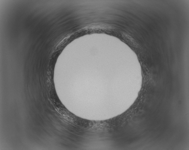 X0000054420824200507290923