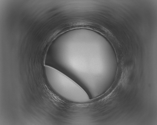 X0000054420825200507290923