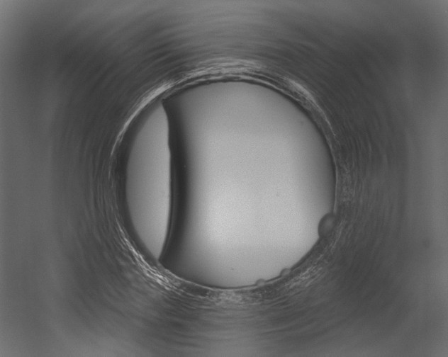 X0000054420827200507290923
