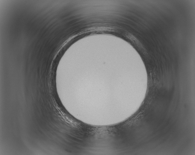 X0000054420828200507290923