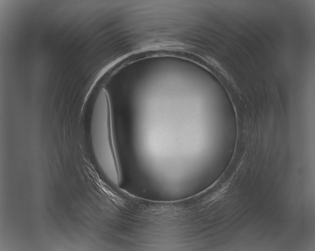 X0000054420830200507290923