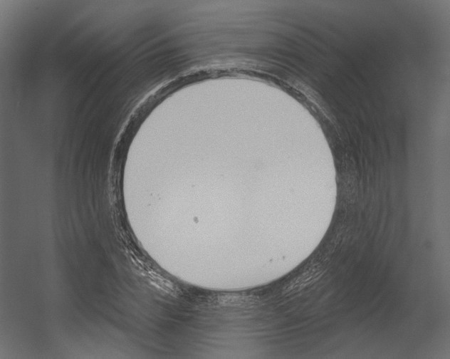 X0000054420832200507290924