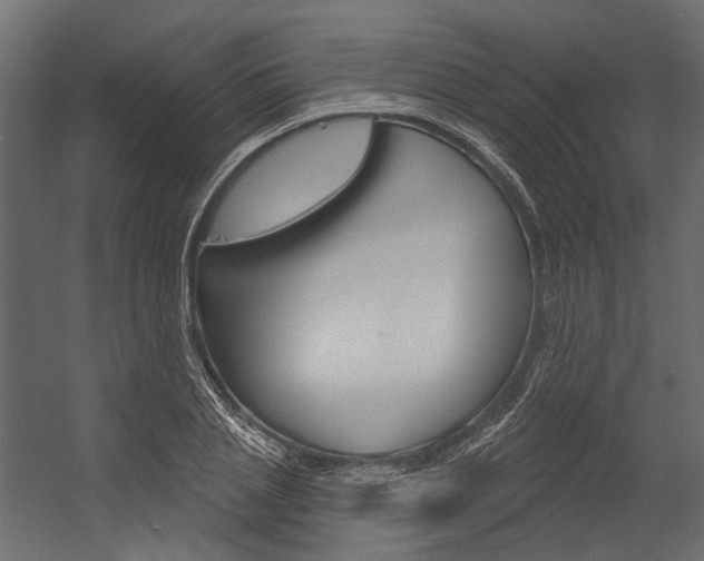 X0000054420837200507290924