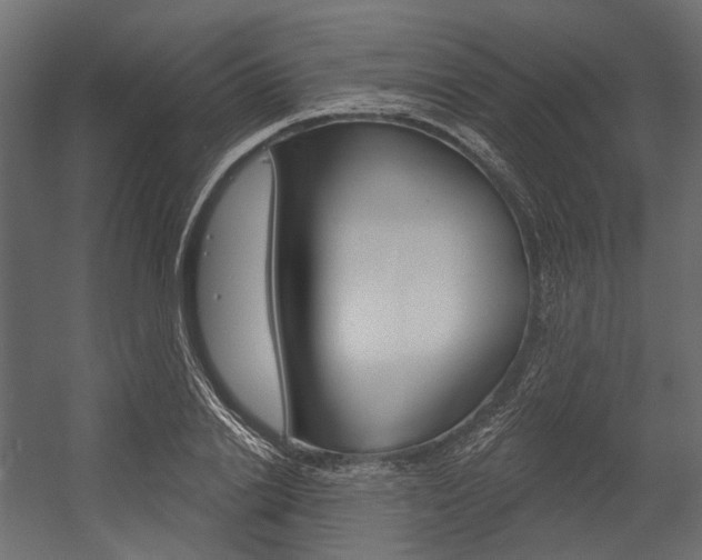 X0000054420838200507290924