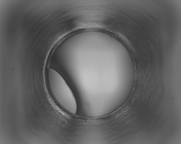 X0000054420840200507290924