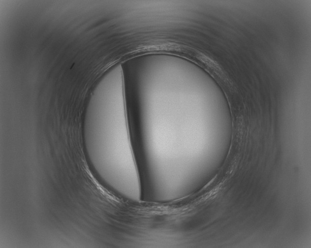 X0000054420841200507290924