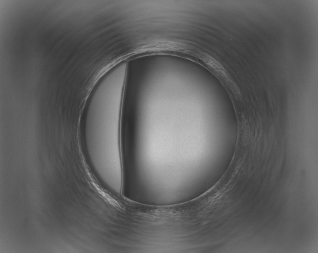 X0000054420842200507290924