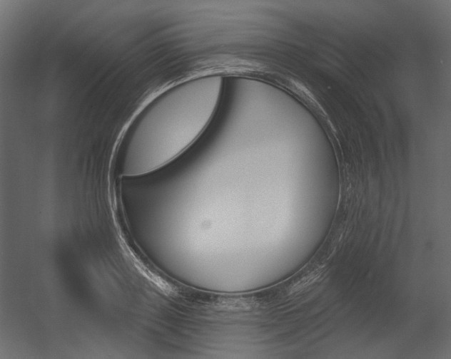 X0000054420843200507290924