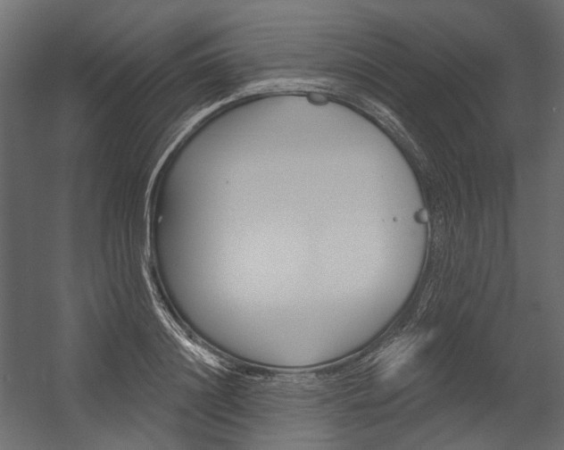 X0000054420844200507290924