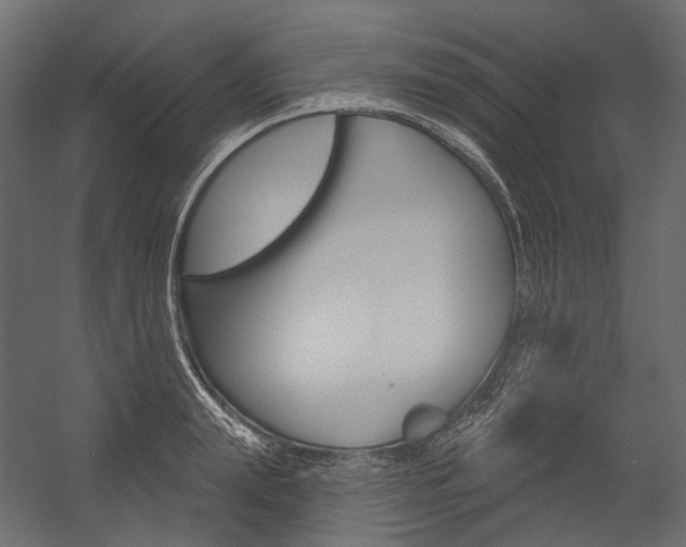 X0000054420847200507290924
