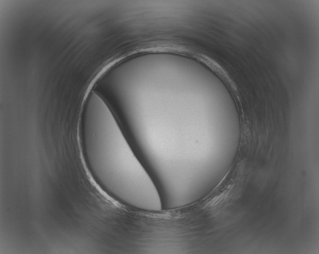 X0000054420855200507290924