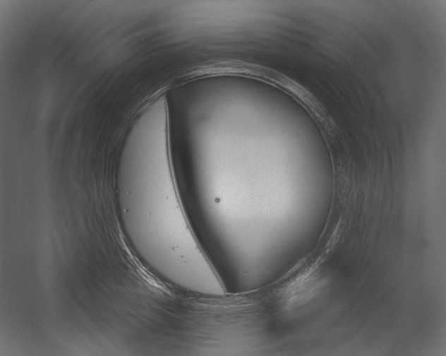 X0000054420857200507290924