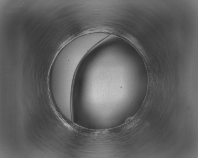 X0000054420858200507290924