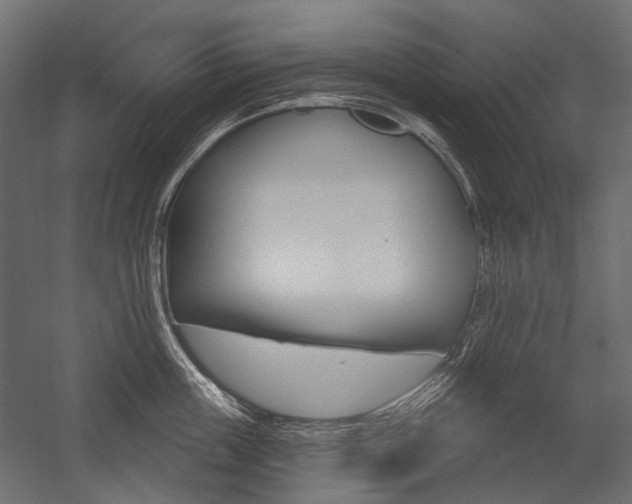 X0000054420859200507290924