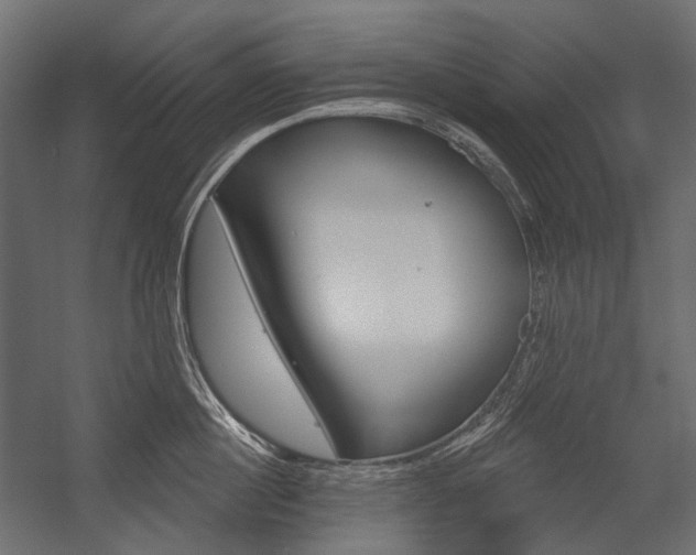 X0000054420860200507290924