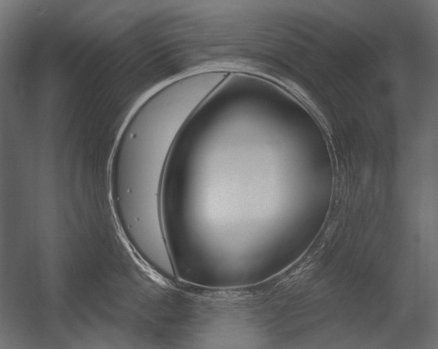 X0000054420862200507290924