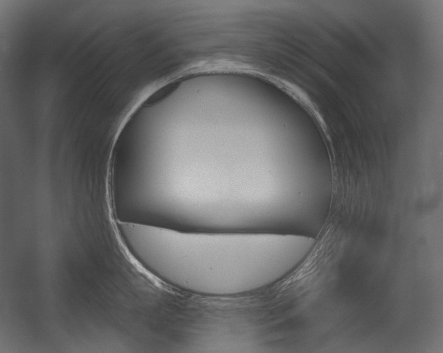 X0000054420863200507290924