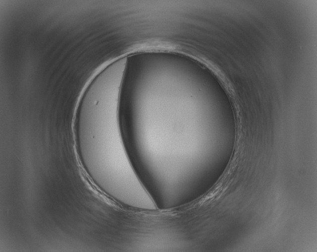 X0000054420864200507290924