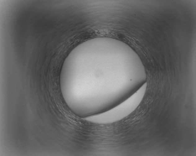X0000054420865200507290923