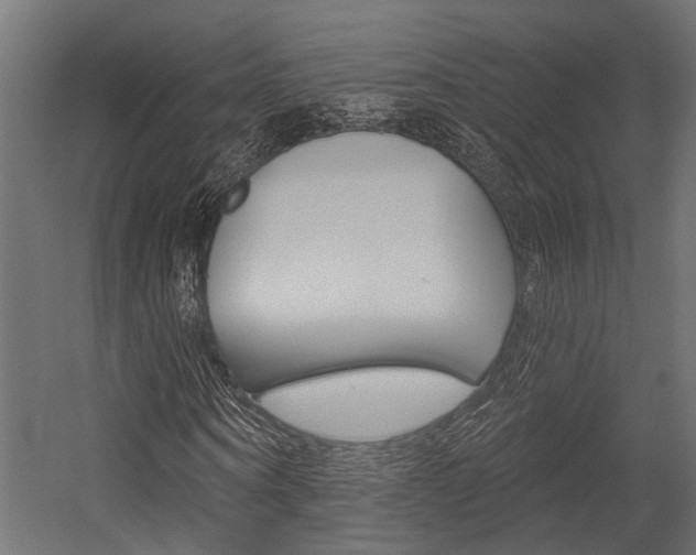 X0000054420866200507290923
