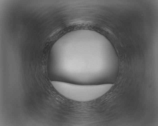 X0000054420869200507290923