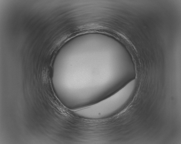 X0000054420873200507290923
