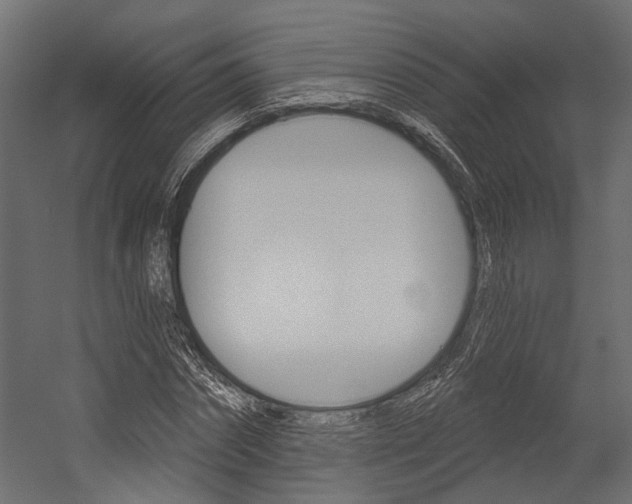 X0000054420874200507290923