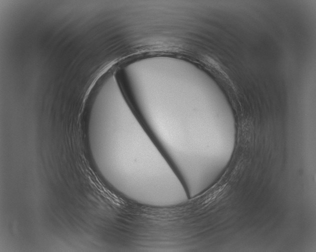 X0000054420875200507290923