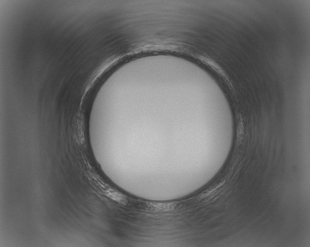 X0000054420878200507290923