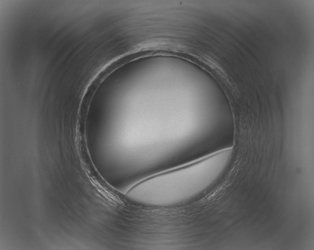 X0000054420880200507290923
