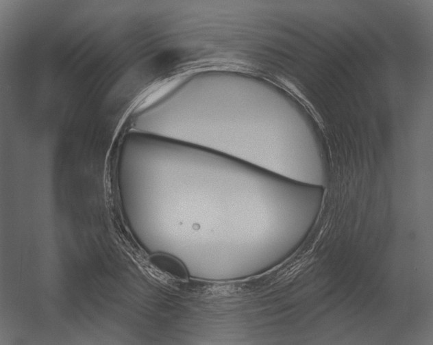 X0000054420883200507290923