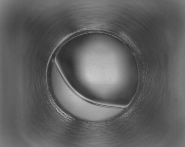 X0000054420884200507290923