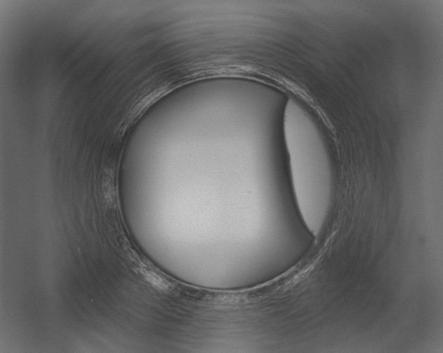 X0000054420889200507290923
