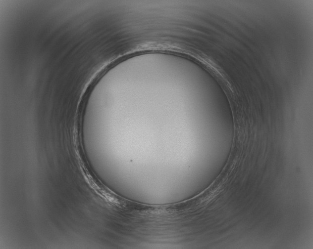 X0000054420896200507290923