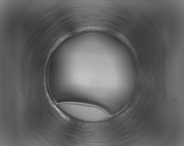 X0000054420898200507290923